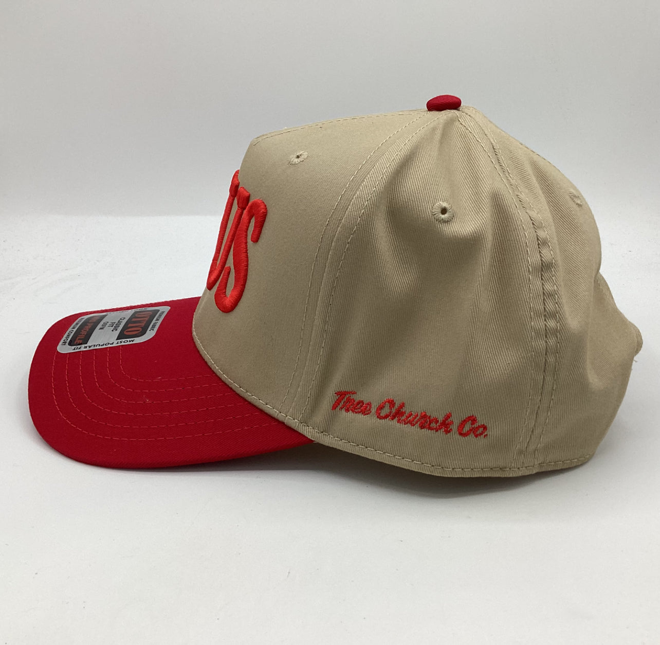 Tree Church Co. - JESUS snap back hat