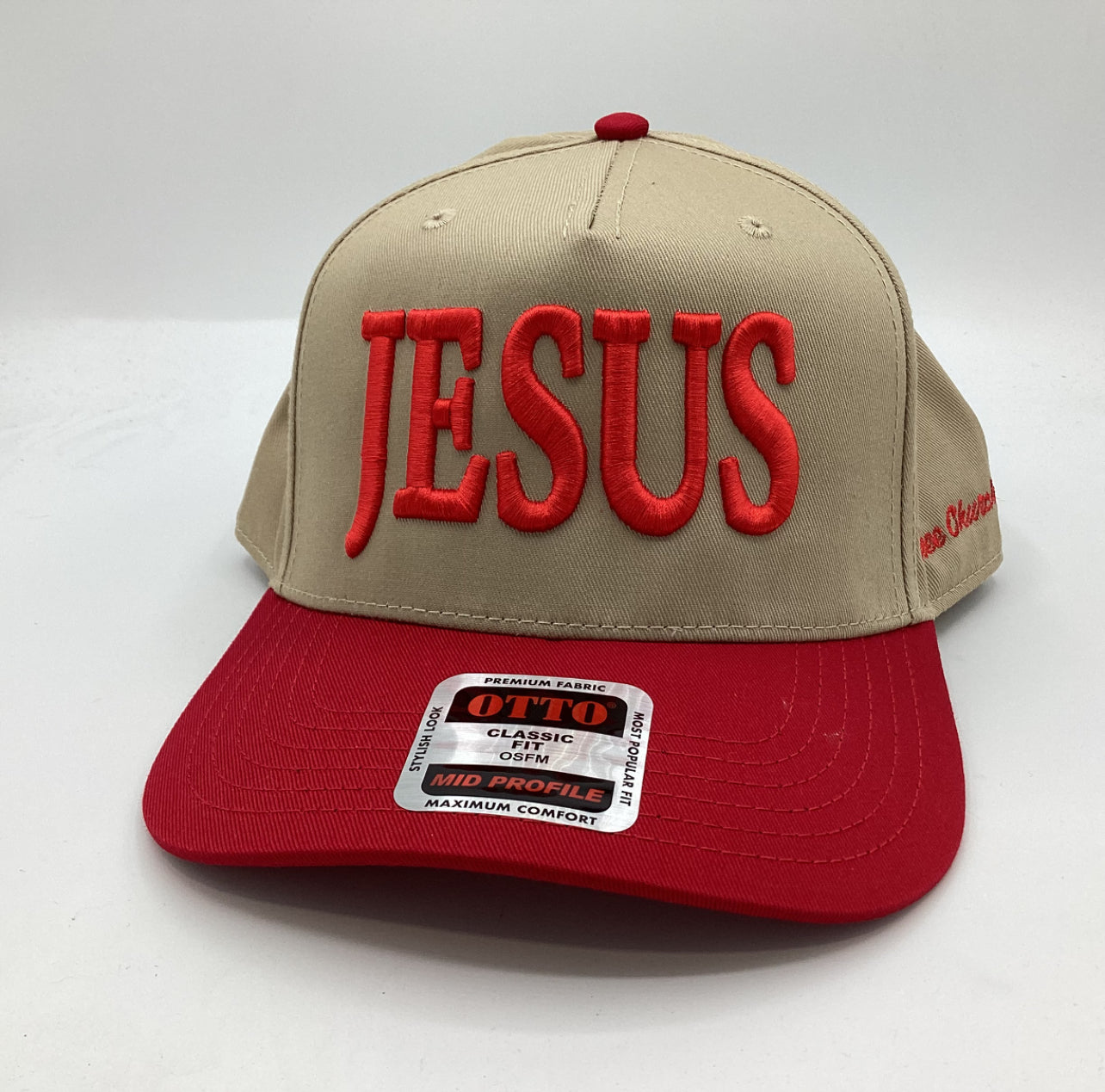 Tree Church Co. - JESUS snap back hat