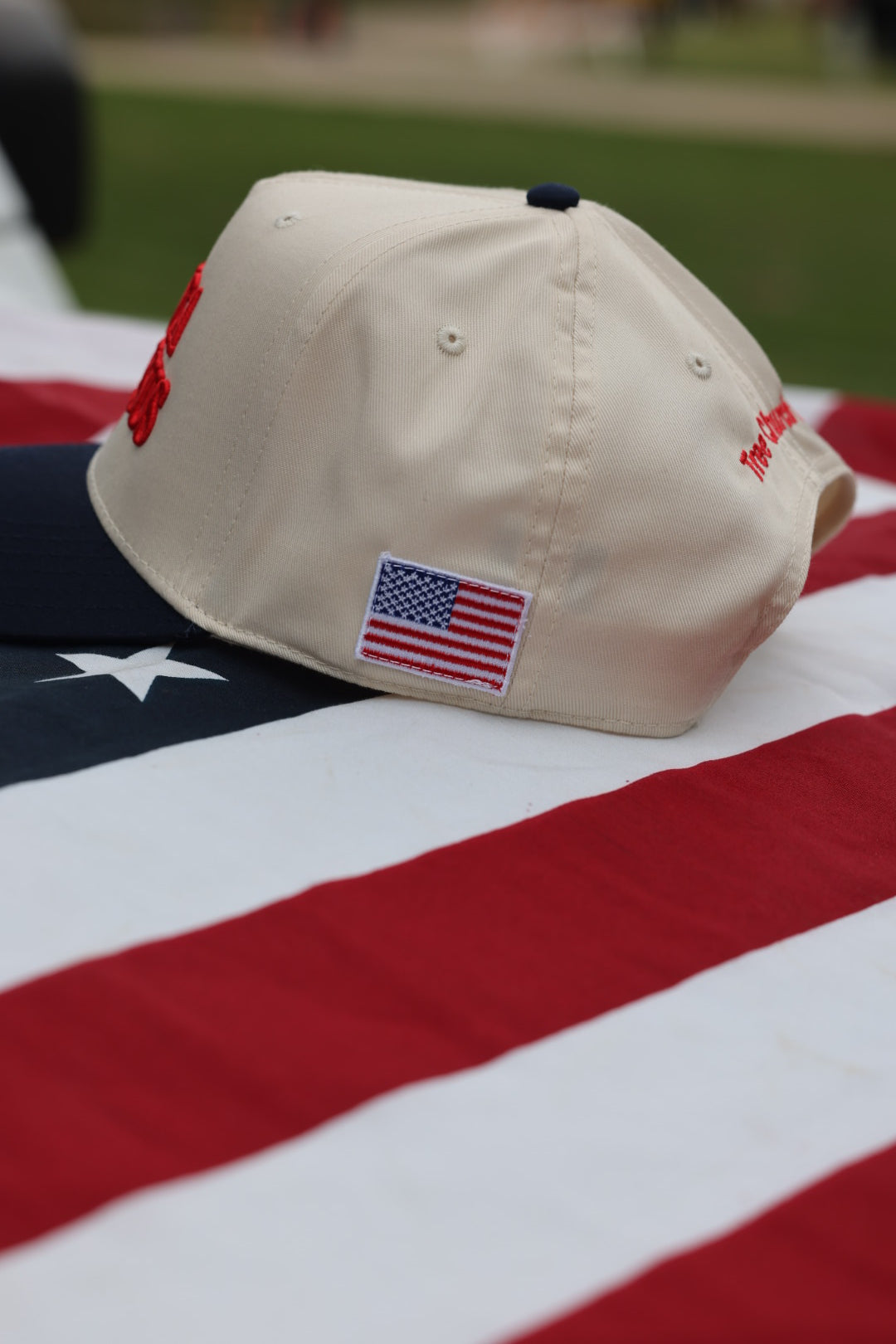 Tree Church Co. - America Needs Jesus snapback hat 🇺🇸